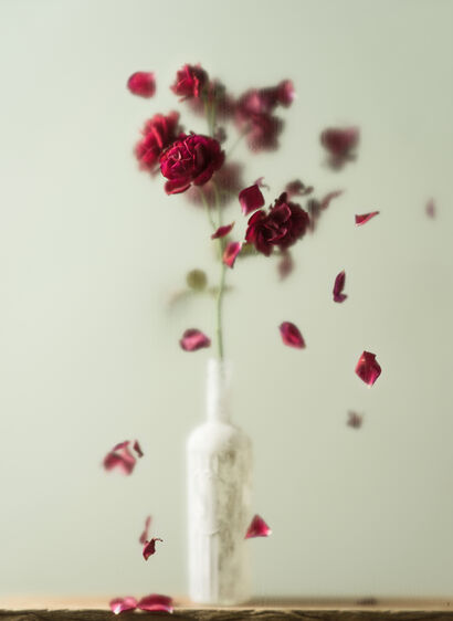 The Day After - a Photographic Art Artowrk by Titus Brein